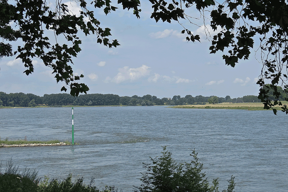 Au bord du Rhin